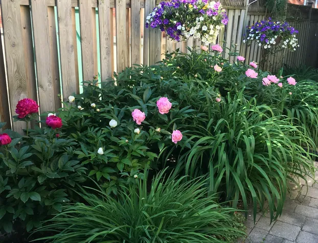 Cottage on Caledonia Bed & Breakfast hotel detail image 2