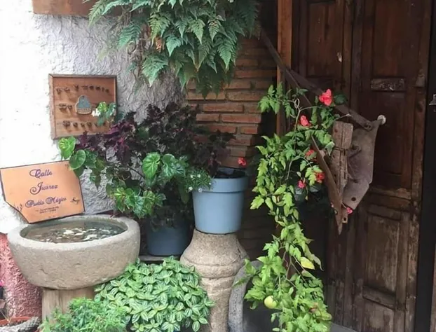 Posada de Los Reyes hotel detail image 3