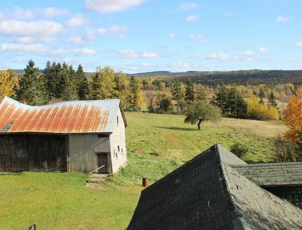 Maplehurst Manor B&B hotel detail image 4