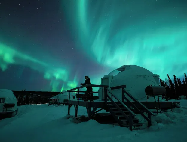 Borealis Basecamp hotel detail image 2