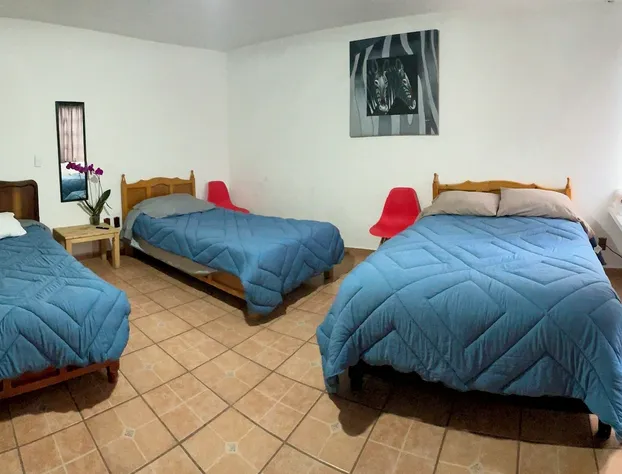 Pura Vida! Ciudad Hidalgo hotel detail image 3