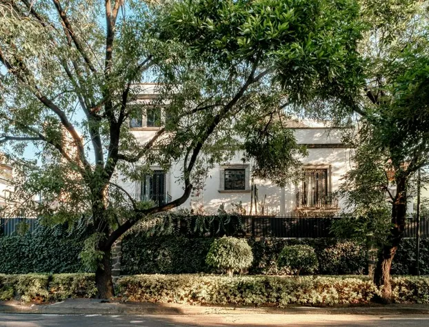 Pug Seal Polanco Anatole France hotel detail image 3