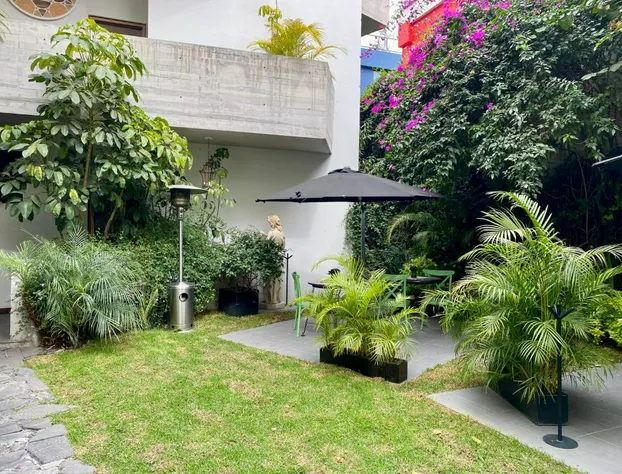 Pug Seal Polanco Anatole France hotel detail image 4