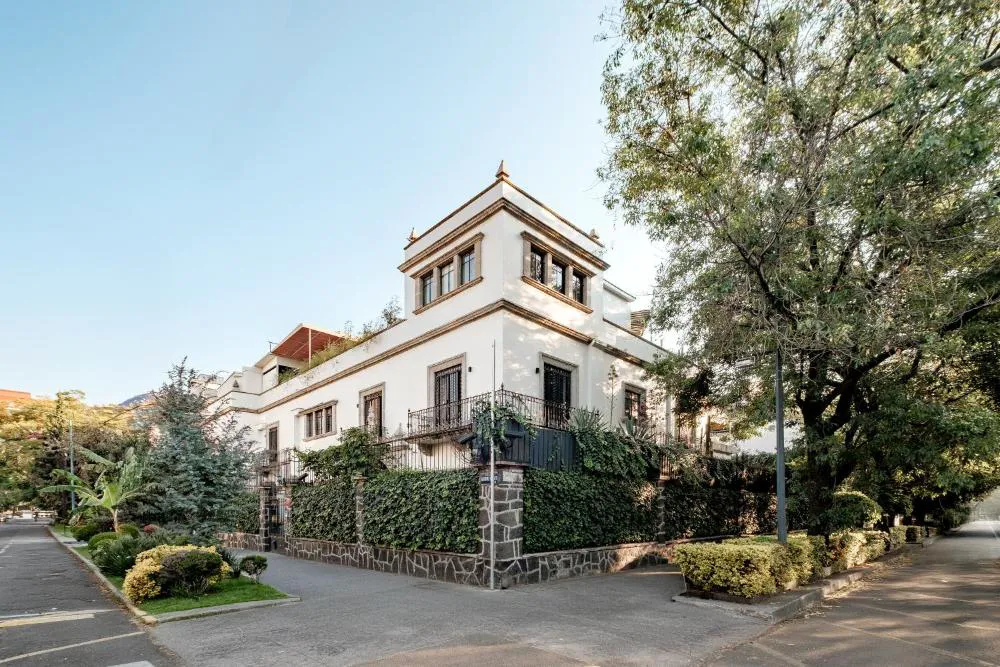 Pug Seal Polanco Anatole France hotel hero