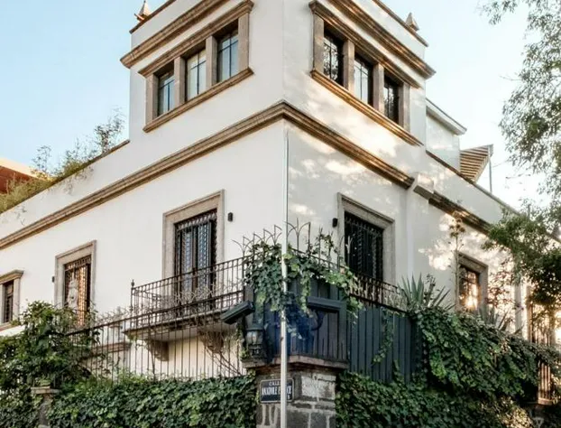 Pug Seal Polanco Anatole France hotel detail image 2