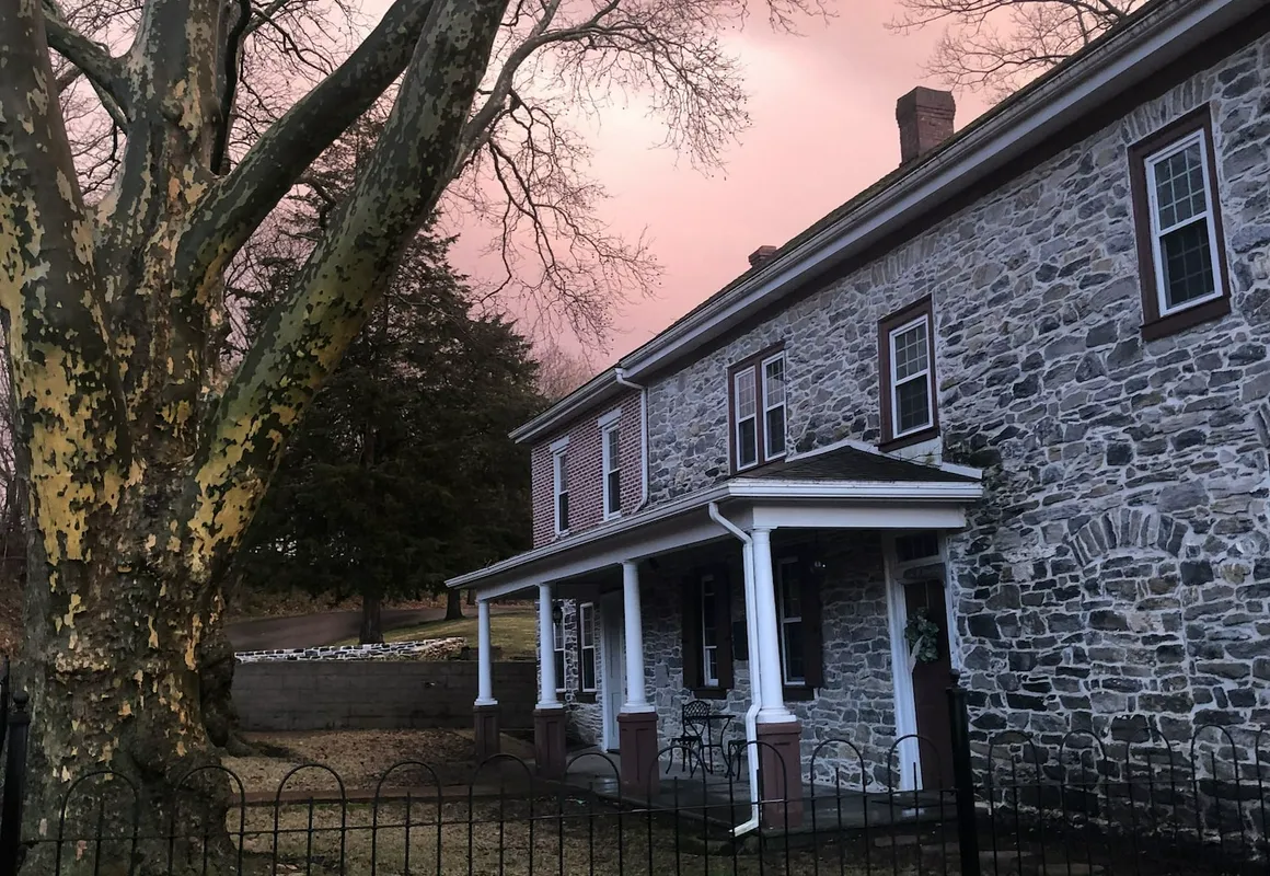 The Avenue Guesthouse and Gallery hotel hero