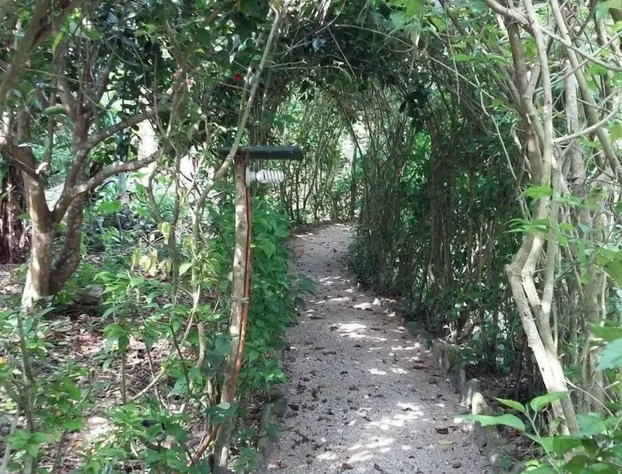 Centro Ecoturistico Yaajche hotel detail image 4