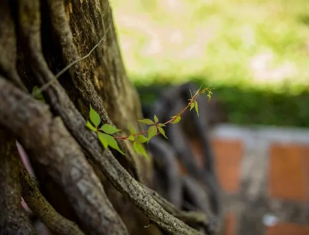 Casa Blanca Boutique & Organic hotel detail image 1