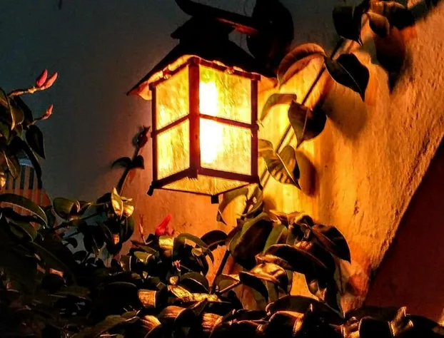 Casa Blanca Boutique & Organic hotel detail image 3