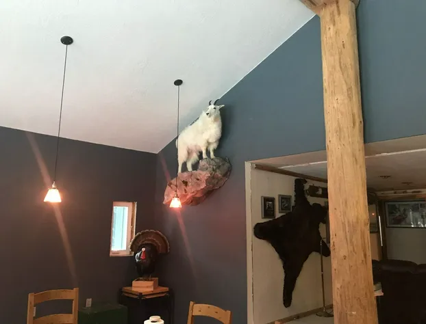 The Last Resort Lodge hotel detail image 4