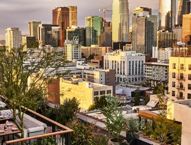 Downtown Los Angeles Proper Hotel, a Member of Design Hotels hotel detail image 3