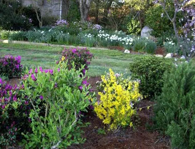 BandB at Mallard Bay hotel detail image 4