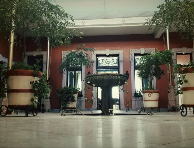 Hotel Hidalgo 1905 hotel detail image 2