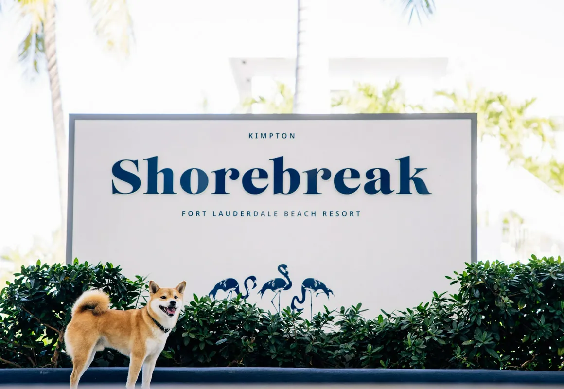 Kimpton Shorebreak Fort Lauderdale Beach Resort by IHG hotel hero