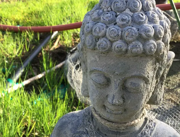 Heartwood Mountain Sanctuary hotel detail image 2