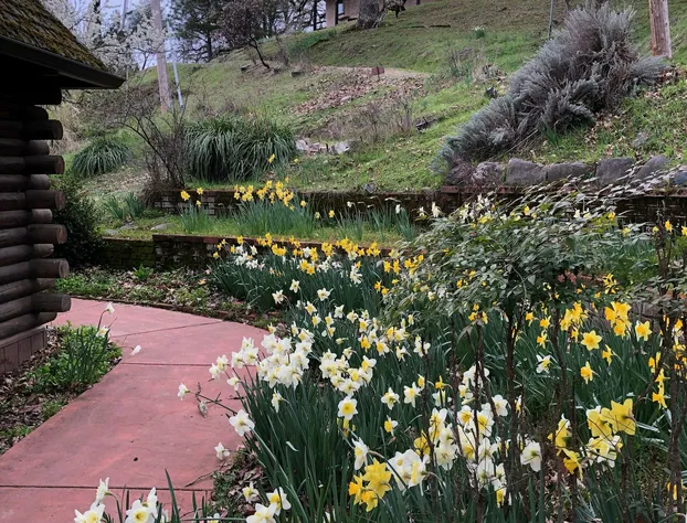 Heartwood Mountain Sanctuary hotel detail image 2