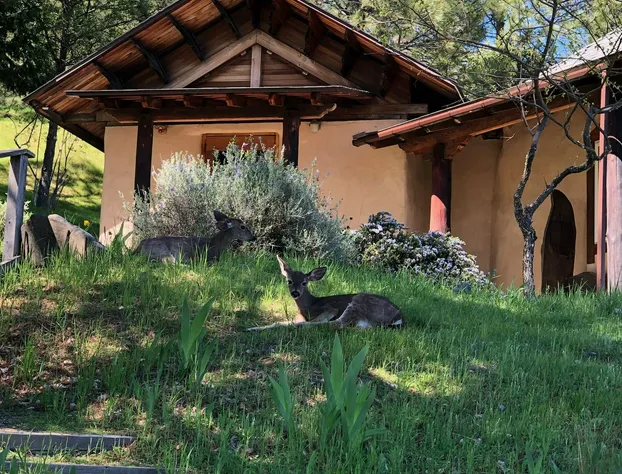 Heartwood Mountain Sanctuary hotel detail image 3