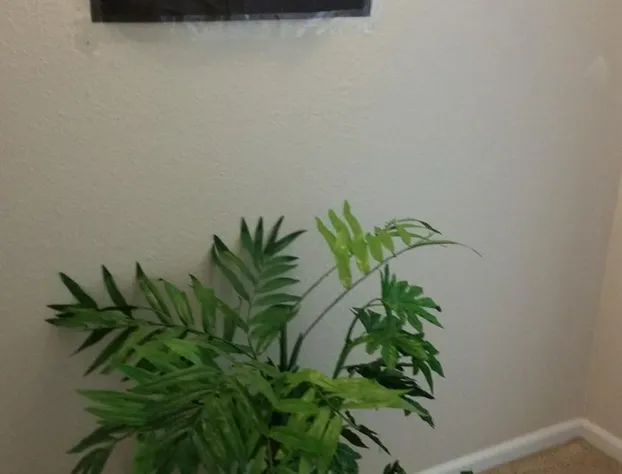 Bed and Breakfast hotel detail image 3