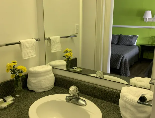 Road Trip Motel hotel detail image 4