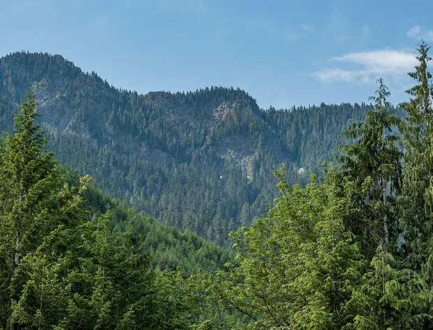 Emerald Valley Inn hotel detail image 2