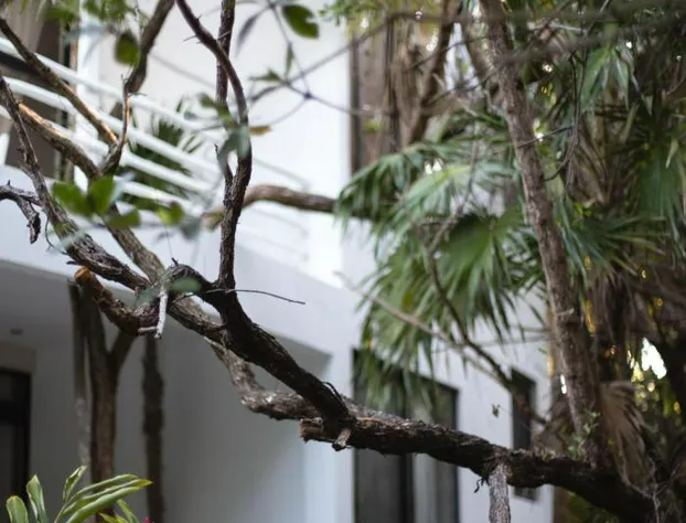 Casa Ambar Tulum hotel detail image 2