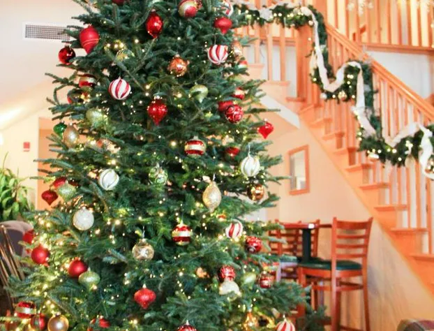 Birchwood Lodge hotel detail image 2