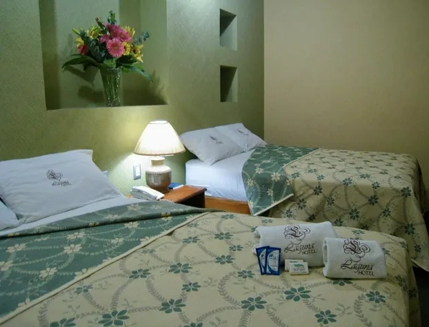 Hotel Laguna Tampico hotel detail image 3