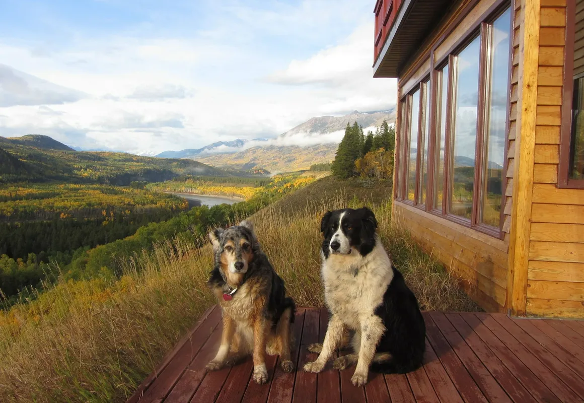 Stikine View Lodge hotel hero