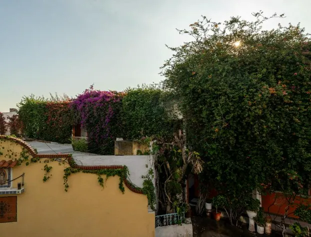 Hotel Posada Bugambilias hotel detail image 3