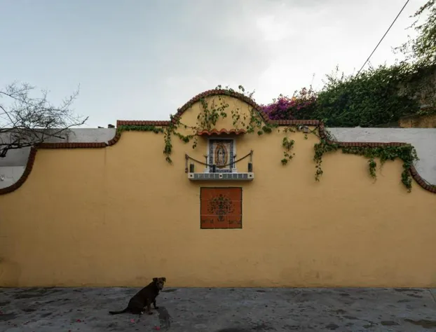 Hotel Posada Bugambilias hotel detail image 4