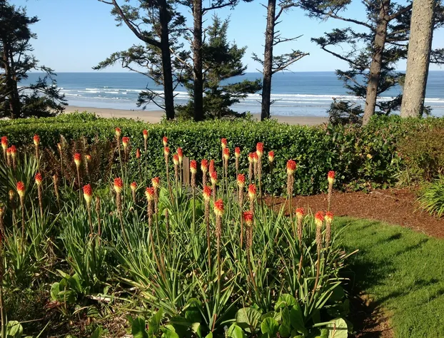 Tyee Lodge Oceanfront B&B hotel detail image 3