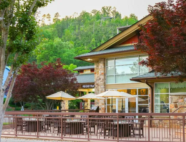 The Greystone Lodge on the River hotel detail image 2