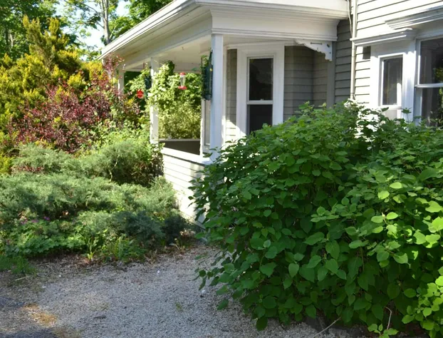 Red Mahone Bed and Breakfast hotel detail image 4