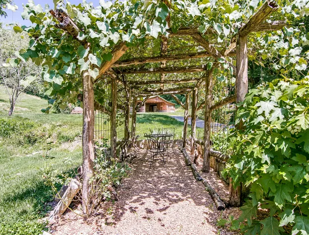 Butterfly Hollow B&B hotel detail image 2