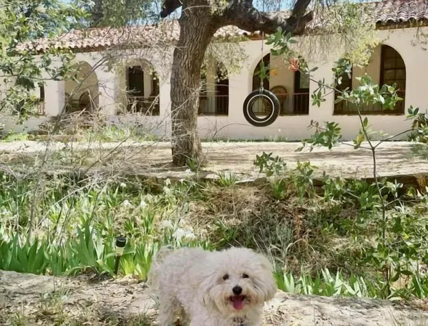 El Rancho Robles hotel detail image 1
