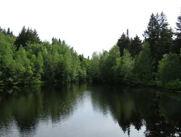 Le Sainte-Hélène Auberge & Spa Nordique hotel detail image 1