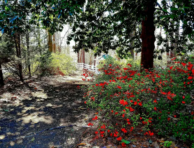 Stockbridge Lakes Bed & Breakfast hotel detail image 2