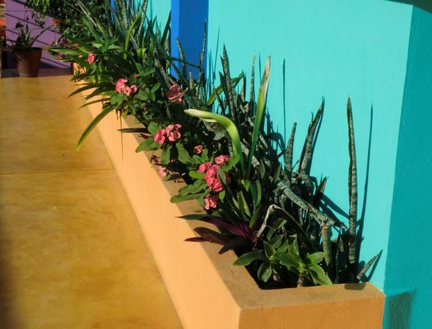 Hotel Arco Iris Tulum hotel detail image 2