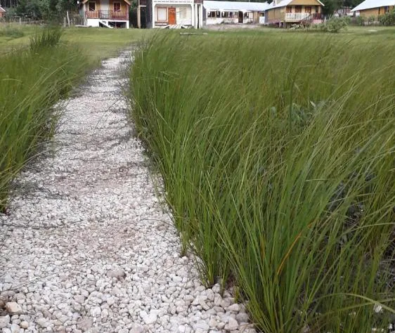 Cabanas Islas de Tziscao hotel detail image 2