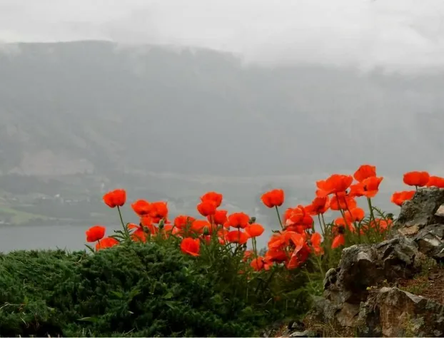 Misty Mountain B&B hotel detail image 2