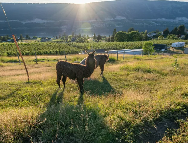 Misty Mountain B&B hotel detail image 3