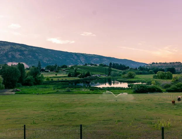 Misty Mountain B&B hotel detail image 4