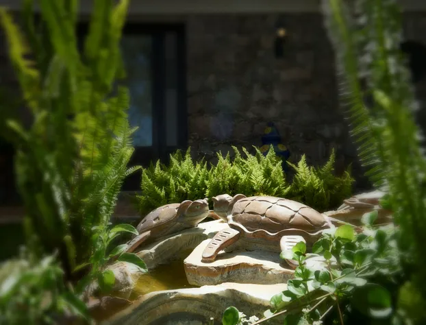 Cascadas Boutique Hotel hotel detail image 2