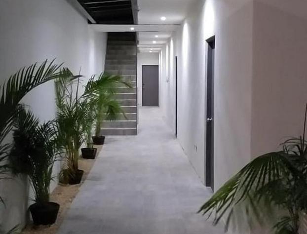 Suites and Art hotel detail image 1