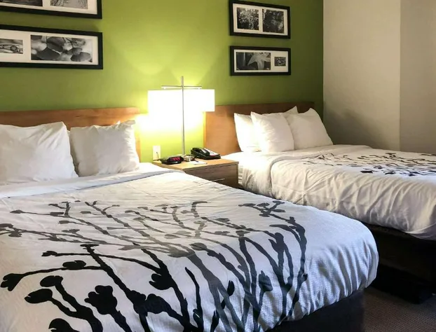 Sleep Inn Hardeeville - I-95 hotel detail image 4