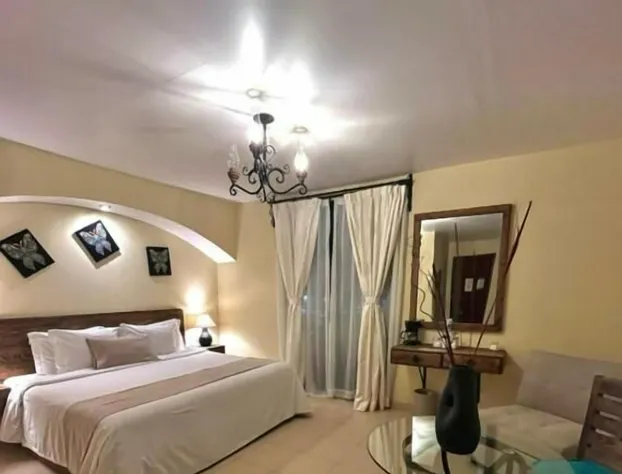 Hotel del Parque hotel detail image 1