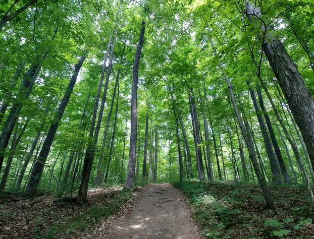 Tenkiller Lodge hotel detail image 4