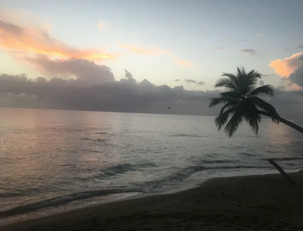 Yukayeke Playa Resort hotel detail image 1