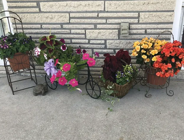 Panoramic Motel & Apartments hotel detail image 2