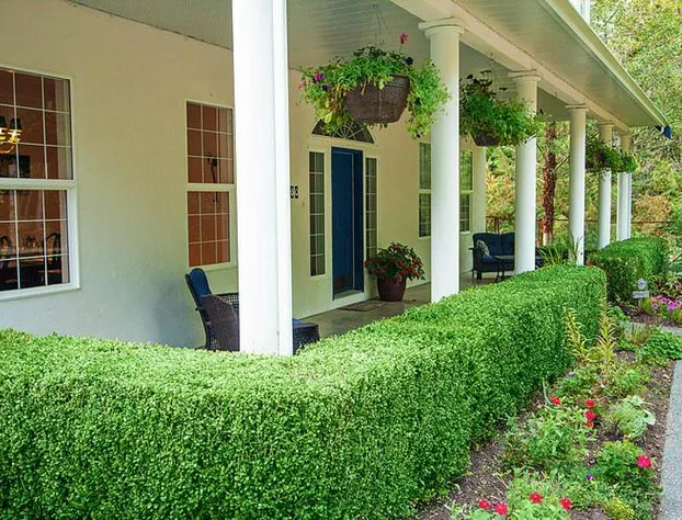 The Inlet Bed & Breakfast hotel detail image 4